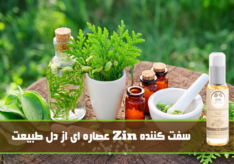 کرم سفت کننده سینه Zin